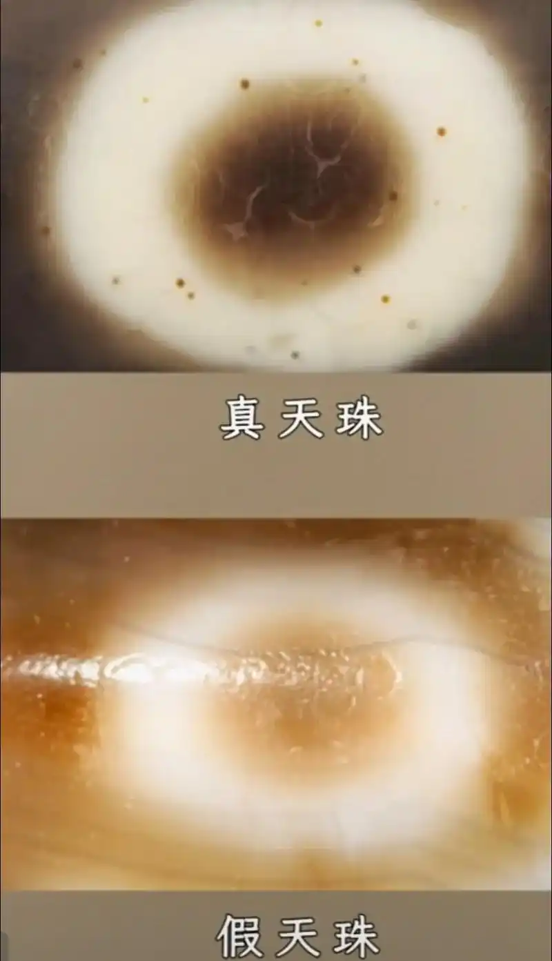 真假天珠风化对比图#寻觅藏传老物件 #古珠之美 - 抖音