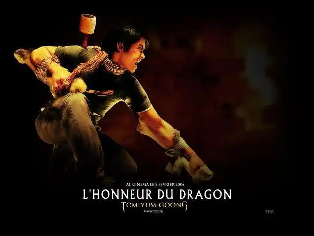 五部泰拳动作电影推荐