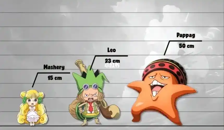 海贼王身高排名1