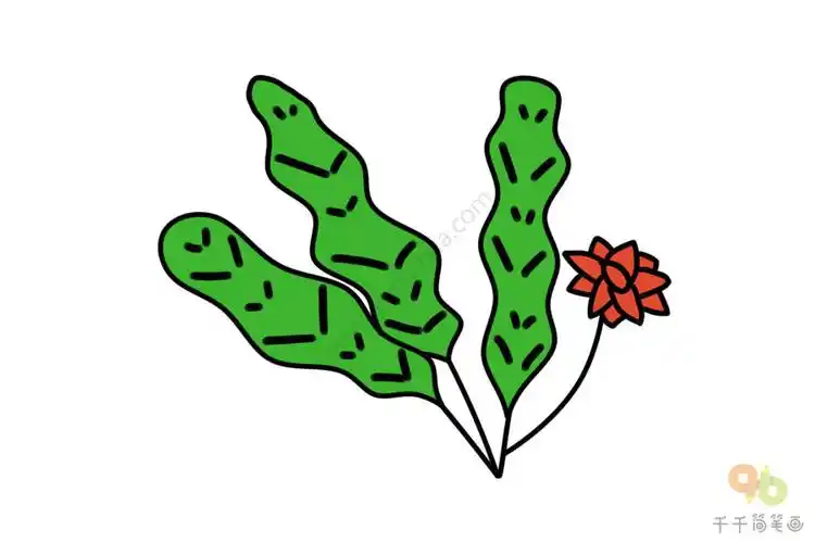 竹芋简笔画图片大全