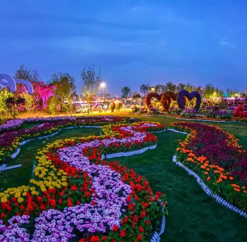 开园啦带你看看不一样的南阳世界月季大观园