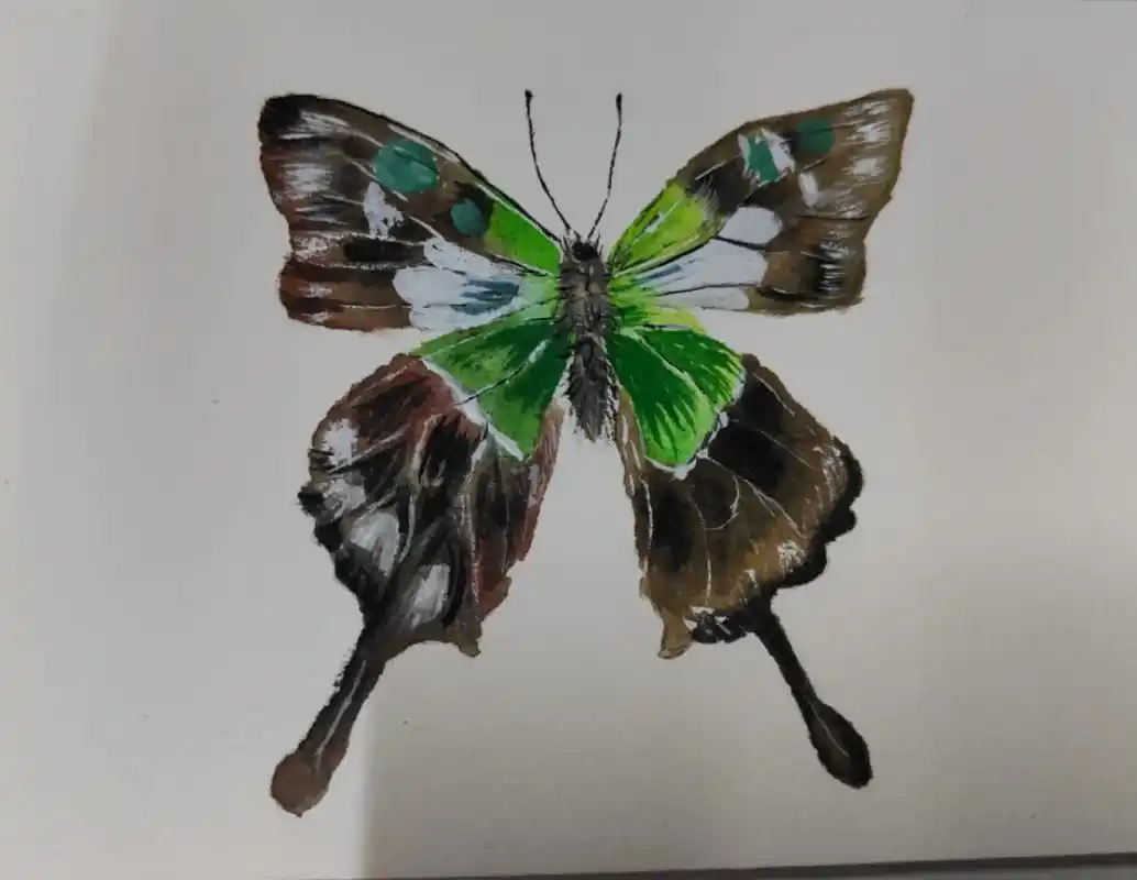 随笔 #临摹 #画渣日常 #蝴蝶 #水彩 #绘画  - 抖音