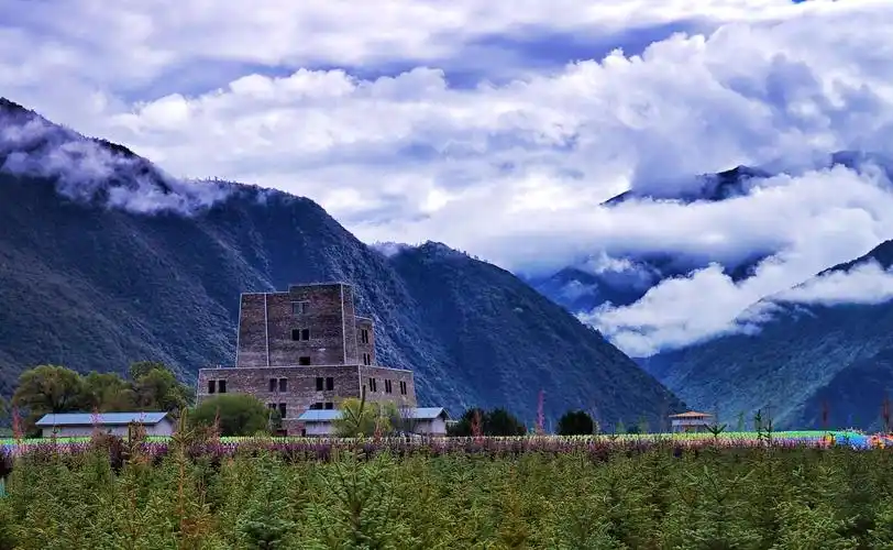 林芝～工布江达段路景
