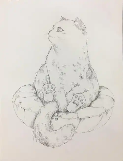 猫咪|纯艺术|素描|白白狸 - 原创作品 - 站酷 (zcool)