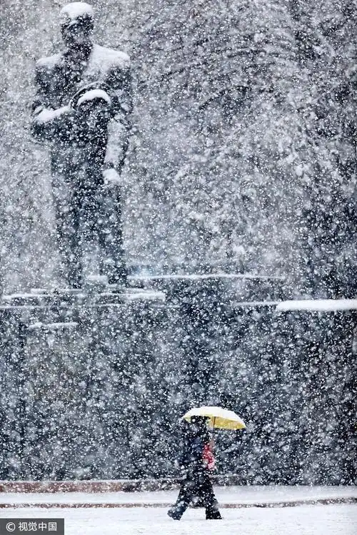 土耳其当地下起鹅毛大雪 民众冒雪出行天地一片苍茫