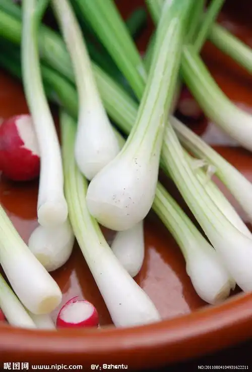 葱头图片