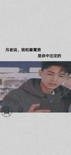 秦霄贤何九华壁纸