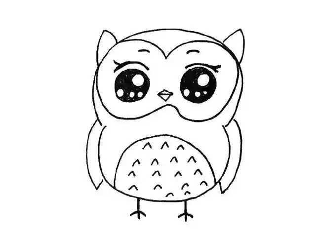 卡通猫头鹰简笔画简单可爱的画法可爱简笔画猫头鹰可商用呆萌萌的