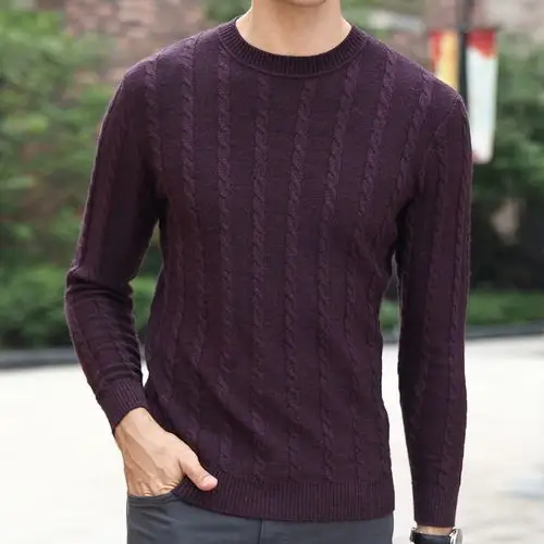花花公子绞花百搭典雅气质打底套衫长袖纯色针织毛衣男士羊毛衫
