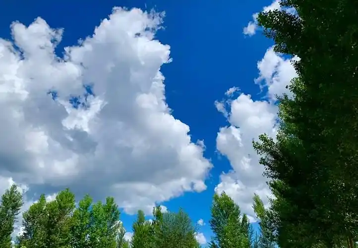 【诗词鉴赏】把白云写入古诗词到底有多美,蓝天白云,处处都是风景!