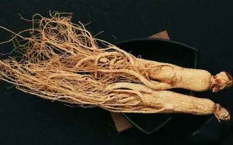 别再人参和西洋参傻傻分不清了!