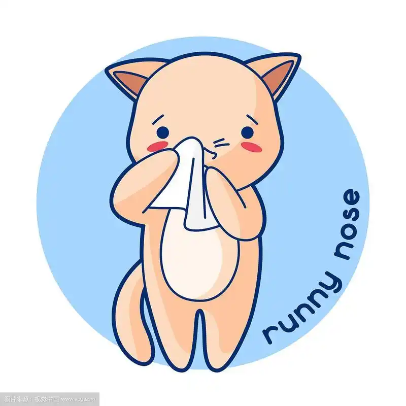 流鼻涕生病的可爱小猫