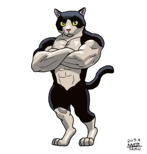 右勾拳的柴犬决斗肌肉狐狸乱入筋肉猫咪,真的要继续连锁下去了吗