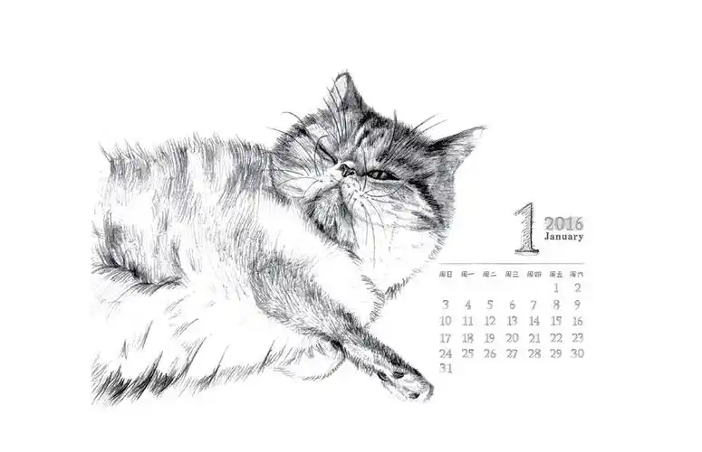 肉丸是只猫2016台历