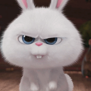 兔子吃东西动图