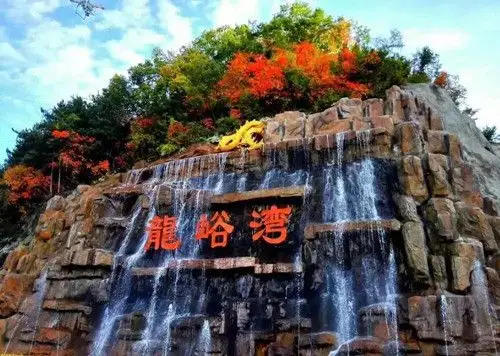 网红打卡胜地以花为媒龙峪湾云巅赏千年杜鹃