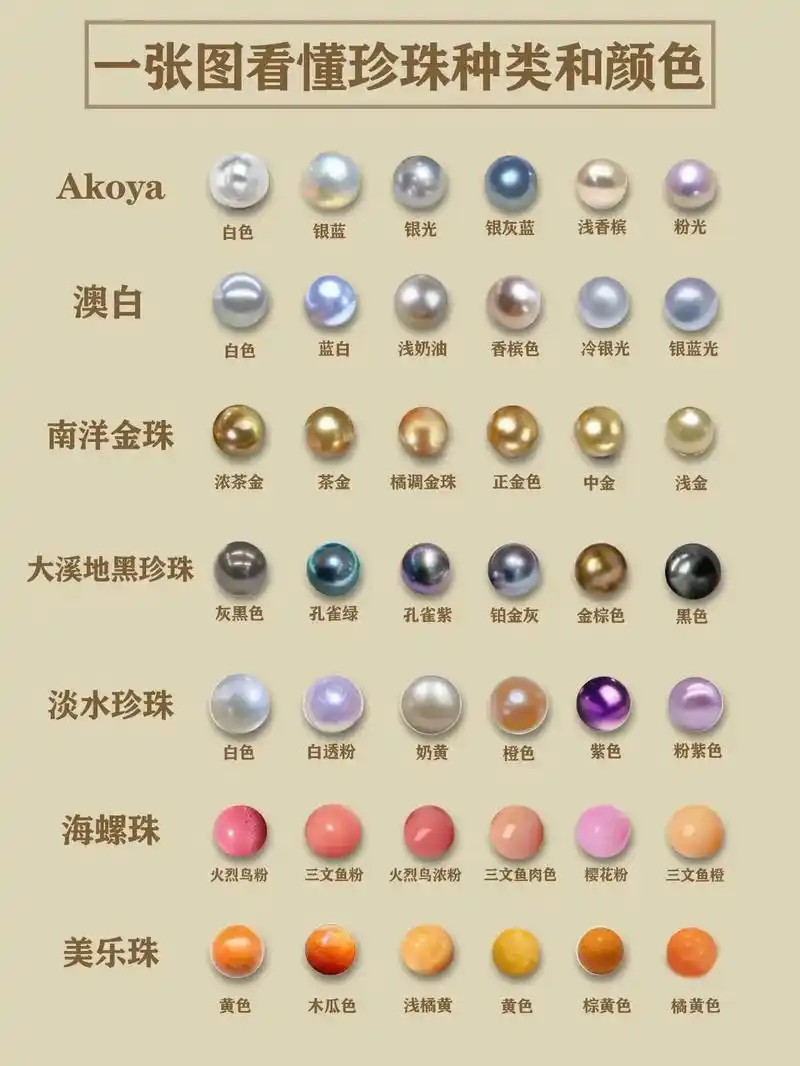 一张图看懂珍珠种类和颜色#珍珠知识 #天然珍珠 #海水珍珠  - 抖音