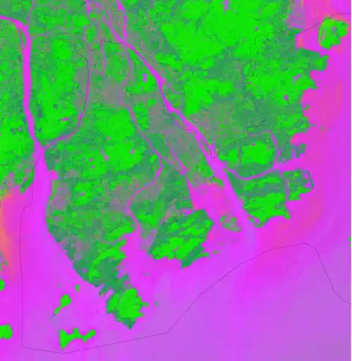 植被显示为绿色,水显示为紫色,雪,冰显示为品红色,土壤,岩石和贫瘠的