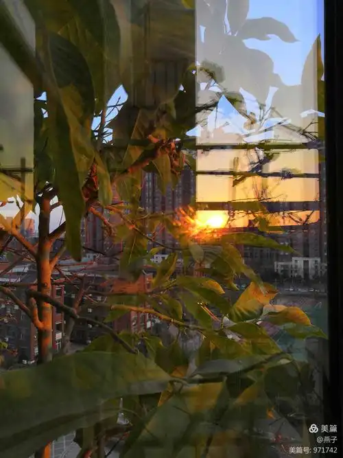 窗外夕阳无限好!