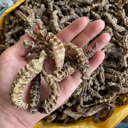 虫草参干中药材云南地参500g竹节参泽兰根地龙其他药食同源食品