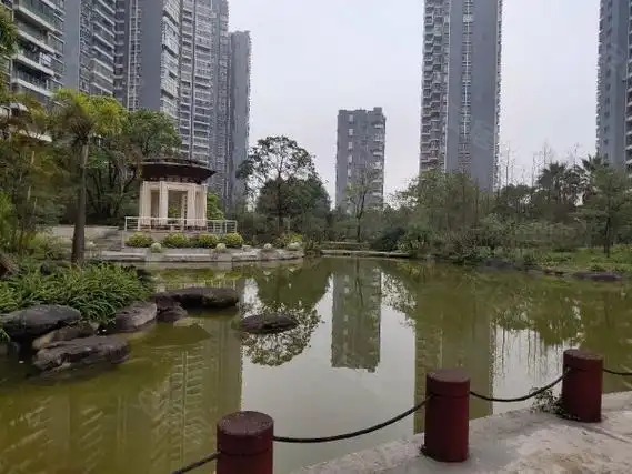 南宁青秀柳沙半岛半山半岛半山江景两房出租 配齐 房子新 采光好 拎包