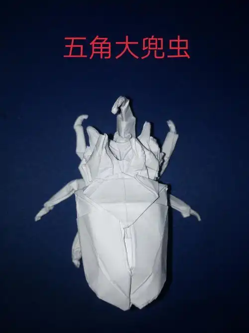 折纸设计大兜虫