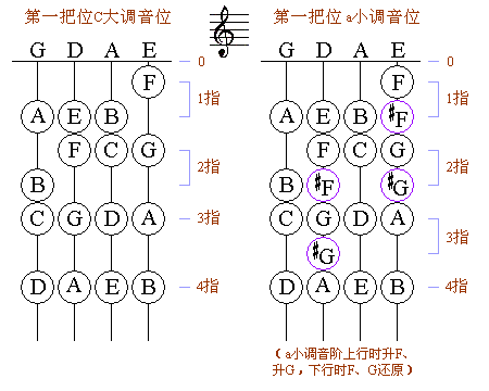 小提琴的"1,2,3,4,5,6,7"怎么弹?