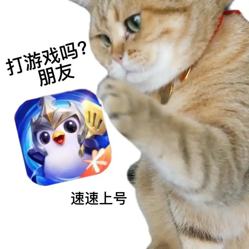 喵～#魔性猫咪表情包 #已黑化92 #金 - 抖音