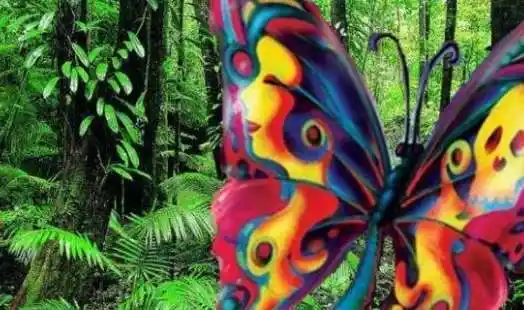 世界上最恐怖的蝴蝶,捕捉者都神秘死亡