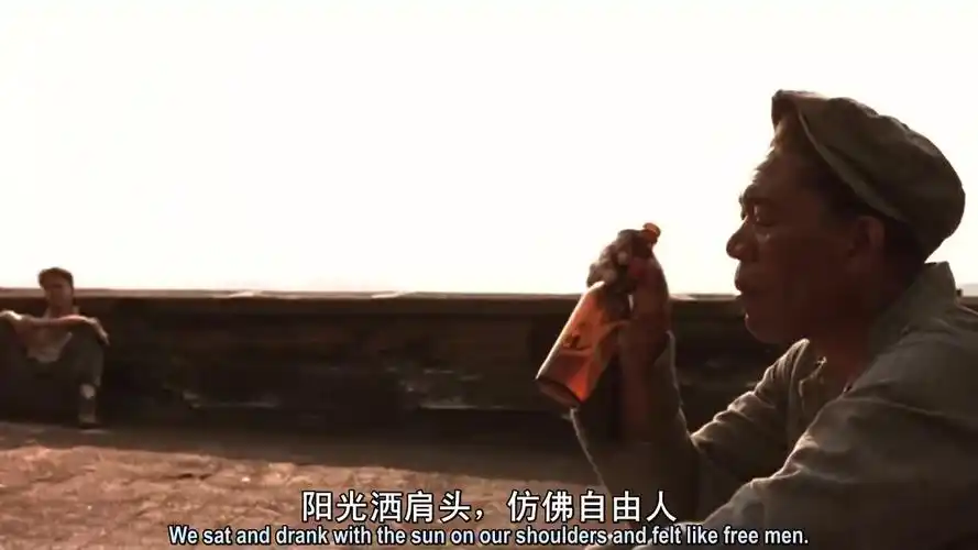 肖申克的救赎# #今日电影推荐#   阳光洒在肩头,仿佛自由人