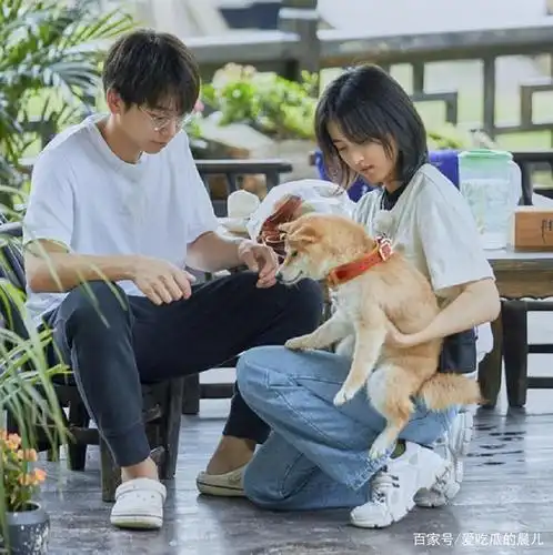 《宠爱》的吴磊和张子枫