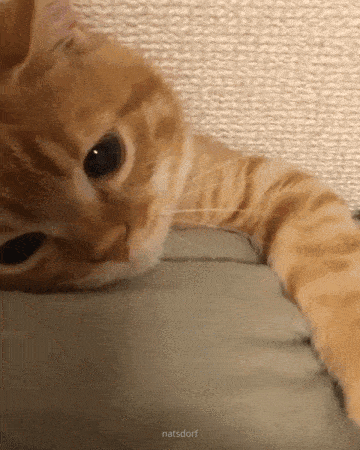 360_450竖版 竖屏gif 动态图 动图