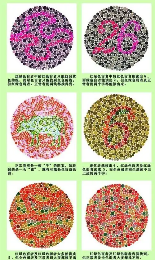 中对于申请驾驶证者的身体条件有要求,申请者的辨色力不能为红绿色盲