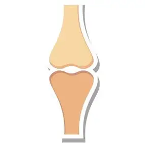 骨关节图标图片