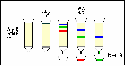 第九章 色谱分析法