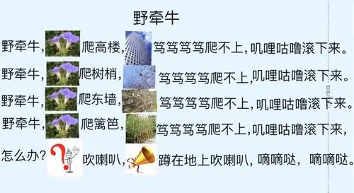 苹果班第五周周记