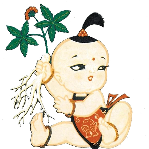 微课堂经典动漫立体绘本人参娃娃一