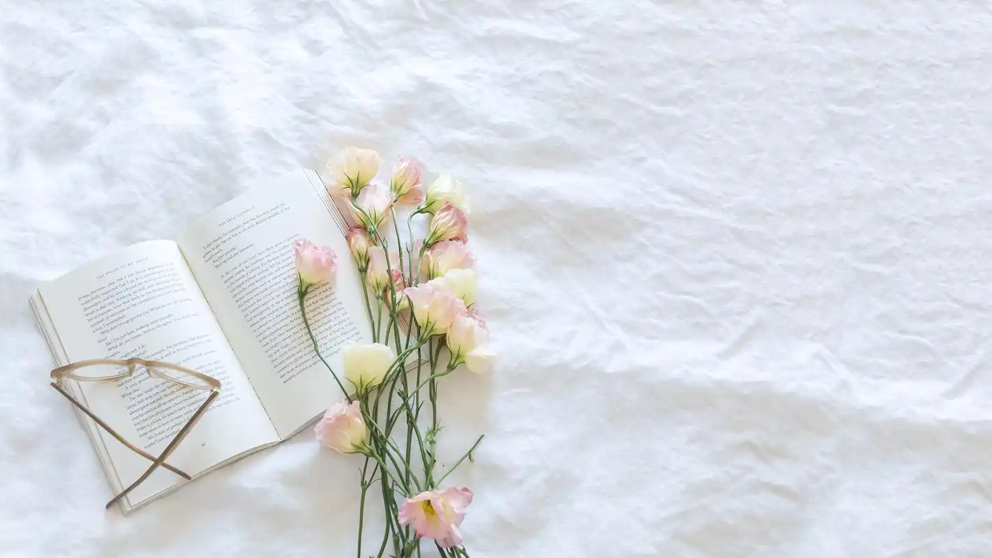 清新静物书籍创意桌面壁纸