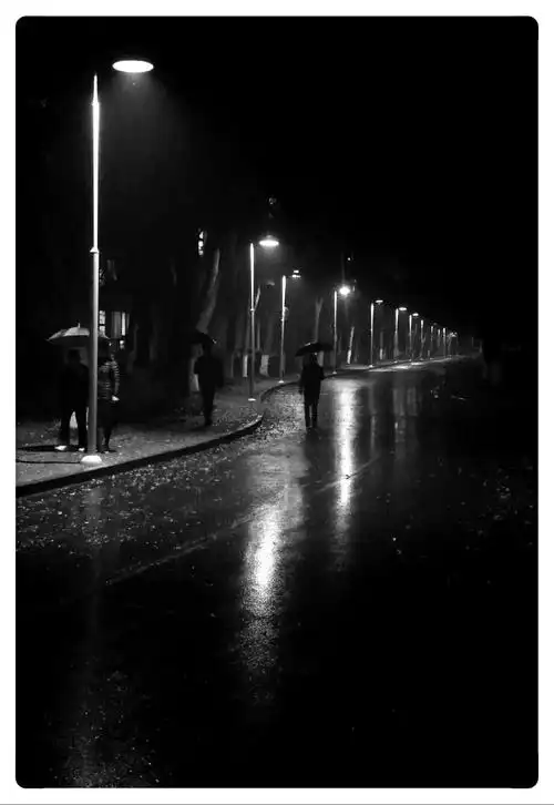 散步随记(21)——雨中夜景