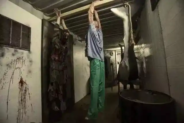 而猛鬼集装箱鬼屋正是施暴科学家的施暴场所 里面除了陈腐的尸体