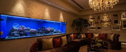 墙体鱼缸