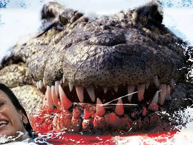 david-华数tv视频搜索-华数tv