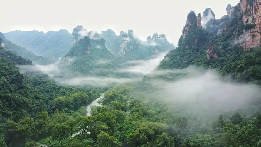 张家界十里画廊:雨后仙境游人醉