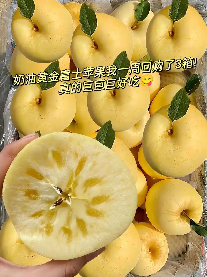 山东黄金奶油富士苹果冰糖心新鲜水果原产地