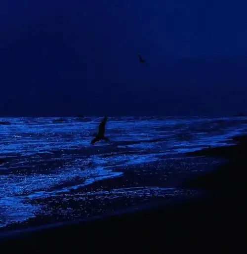 好看的治愈系蓝色背景图