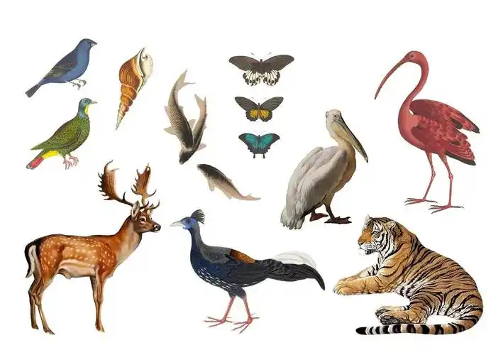 设计素材ps古风效果图