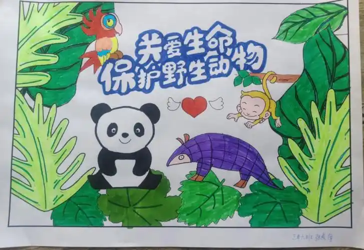 保护野生动物 从我做起 —— 三年六班学习成果汇报