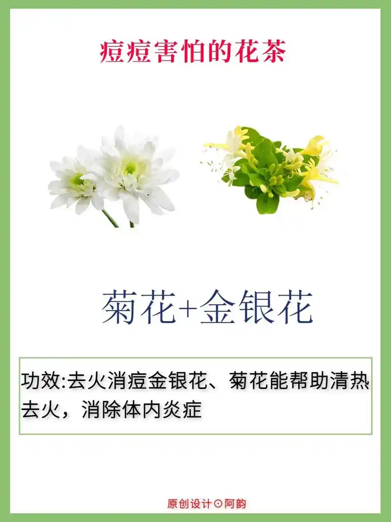 痘痘害怕的花茶  7515菊花 金银花功效:去火 - 抖音