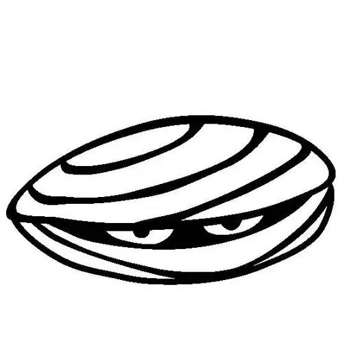 海洋生物图片蛤简笔画图片