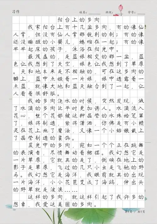 阳台上的多肉,植物观察日记,写植物习作范